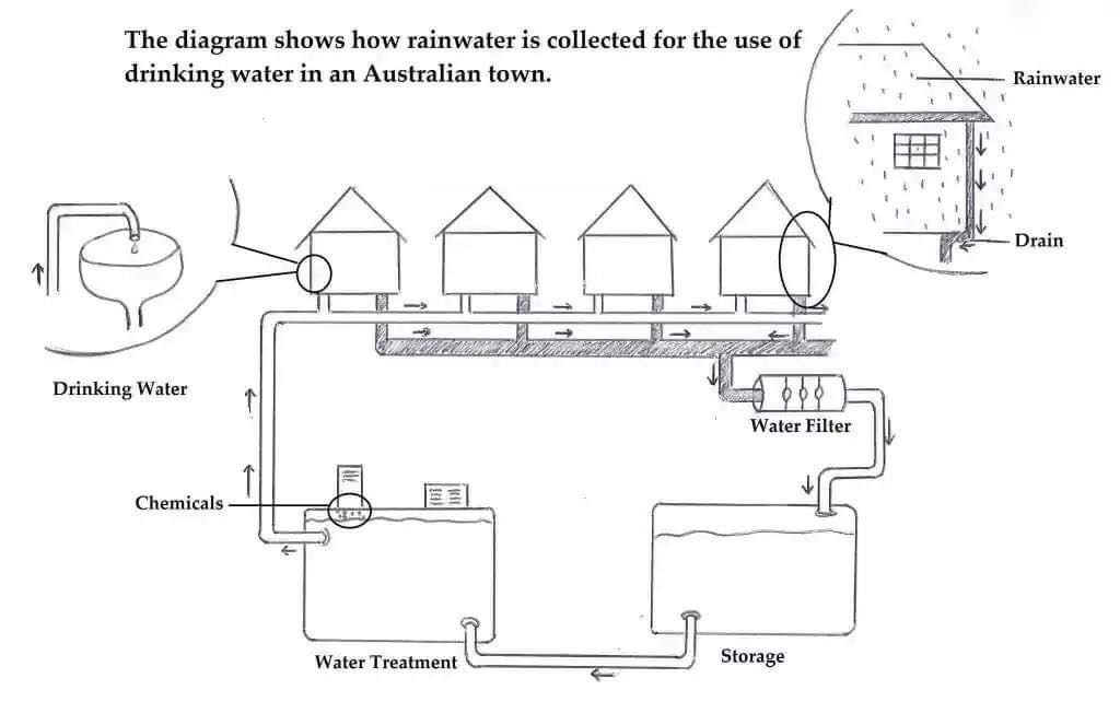 The diagram shows rainwater is collected for the use of drinking water in an Australian town.